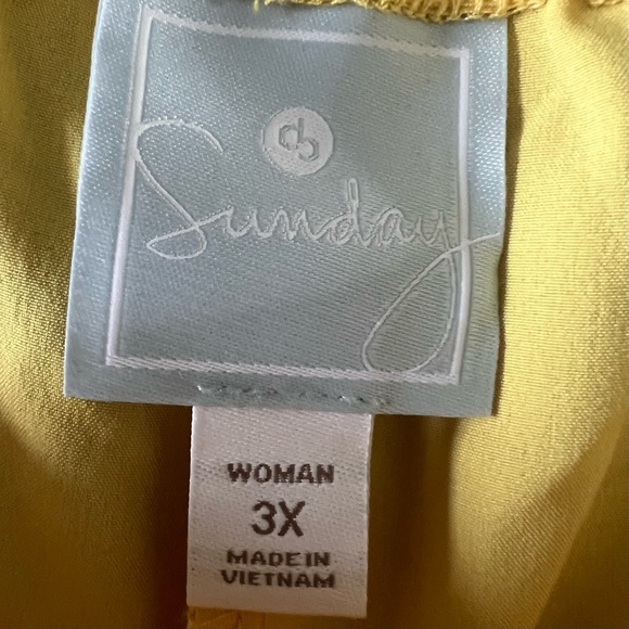 db Sunday‎ Dressbarn Lightweight Yellow Pants - Picture 6 of 8